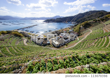 Yuuko Watergoura的Udaiba（愛媛縣宇和島市） 113070398