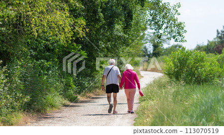 senior couple walking on the promenade senior couple walking on the promenade 113070519