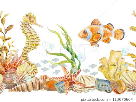 Clown fish, shells, algae, starfish, sea horse watercolor seamless border. Hand drawn illustration for wrapping paper, scrapbooking, wallpaper, ribbon 113070604