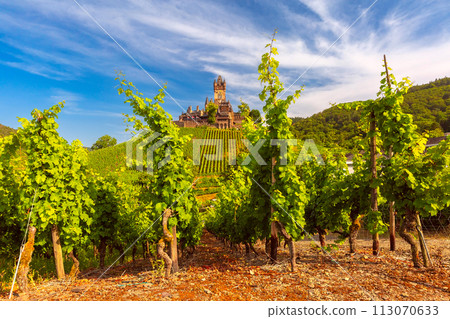 Cochem with Reichsburg castle, Germany 113070633