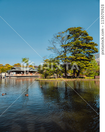 Calm Water In The Japan National Park  113070928