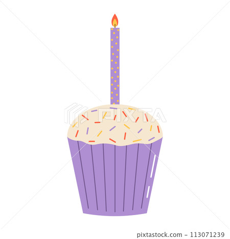 Birthday cupcake with candle. Flat vector isolated illustration 113071239