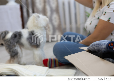 A woman volunteer sorts through her clothes at home for donation. Sorting unwanted clothes at home for charity. A woman plays with a dog in front of a box of clothes and a recycling sign. A woman volunteer sorts through her clothes at home for donation. Sorting unwanted clothes at home for charity. A woman plays with a dog in front of a box of clothes and a recycling sign. 113071388