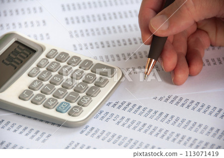 Hand holding pen while doing financial performance analysis. Business strategy and budget concept 113071419
