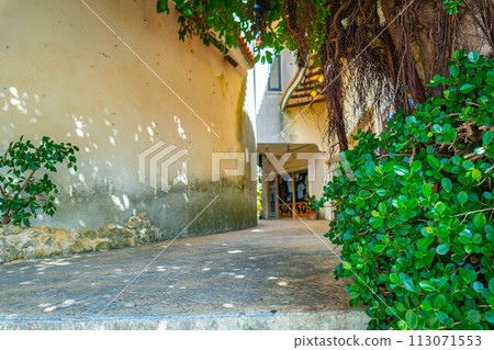 american village cityscape shade tree street sightseeing spot chatan town 113071553