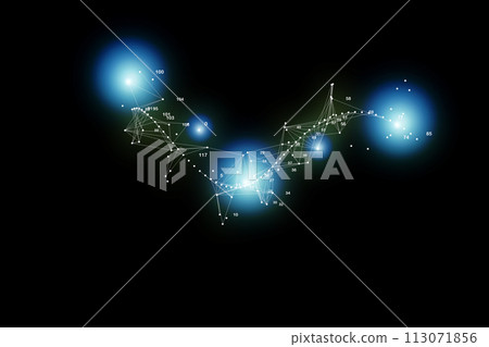 network CG network CG 113071856