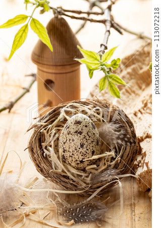 Easter nest with quail egg, straw, feathers, decorative birdhouse, twigs with spring leaves on wood. 113072218