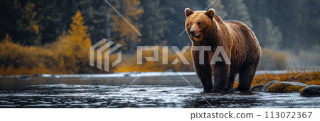 brown bear catch fish in forest river. Panoramic landscape 113072367