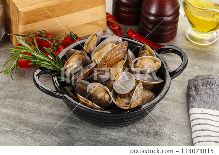 Raw vongole clams for cooking Raw vongole clams for cooking 113073015