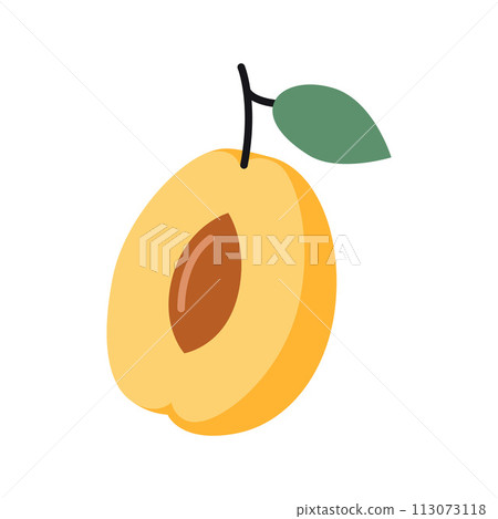 Half of an apricot fruit with pit and leaf, cartoon style. Vector illustration isolated on white background, hand drawn, flat design Half of an apricot fruit with pit and leaf, cartoon style. Vector illustration isolated on white background, hand drawn, flat design 113073118