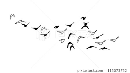 Flying birds silhouette flock. hand drawing. Not AI, Vector illustration 113073732
