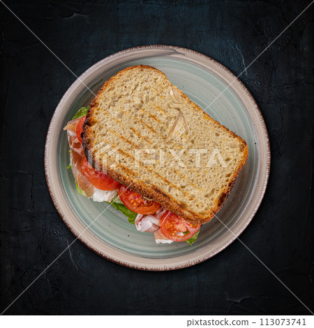 Delicious grilled sandwich Delicious grilled sandwich 113073741