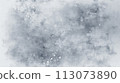 AI-generated content. Abstract light gray background in the style of vintage grunge plaster textured old wall. Inspiration of cement-like texture and scattered spots. Composition for yours cover 113073890