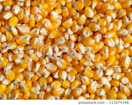 Corn background. Corn grains on the counter. Yellow background from food ingredient. Caloric nutrition. Corn background. Corn grains on the counter. Yellow background from food ingredient. Caloric nutrition. 113074346