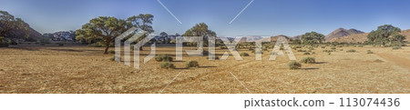 Picture of the unique landscape of the Tiras Mountains on the edge of the Namib Desert in Namibia 113074436