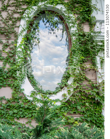 Beautiful round window overgrown with ivy. Reflection in an old window. Urban environment. Old architecture. Mirror in the city. Beautiful round window overgrown with ivy. Reflection in an old window. Urban environment. Old architecture. Mirror in the city. 113074530