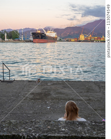 Port area. Container ships in the port. The atmosphere of a cargo seaport. Marine urban landscape. Shipping in Georgia. 113074549