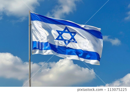 National flag of Israel 113075225