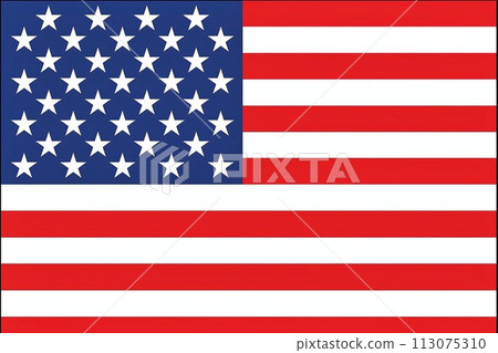 Flag of the United States of America. Flag of the United States of America. 113075310