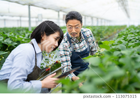 智慧農業 113075315