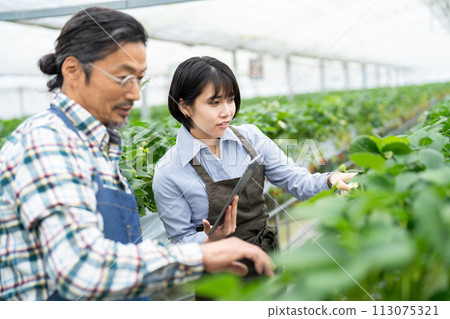 Smart agriculture Smart agriculture 113075321