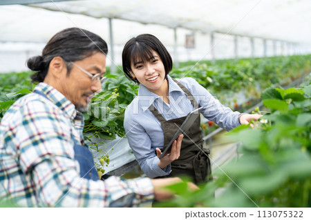 Smart agriculture Smart agriculture 113075322