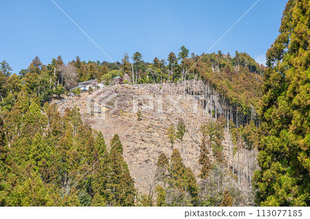 Coniferous forest and Mount Kurama in Kurama, north of Kyoto 113077185
