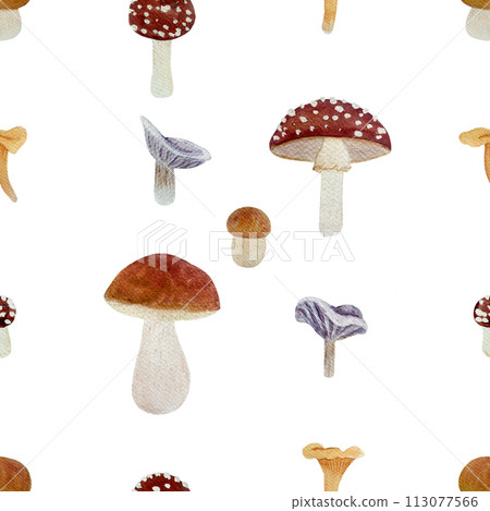 Wild mushroom watercolor pattern isolated on white. Porcini, Chanterelle, Fly agaric and Collybia nuda Wild mushroom watercolor pattern isolated on white. Porcini, Chanterelle, Fly agaric and Collybia nuda 113077566