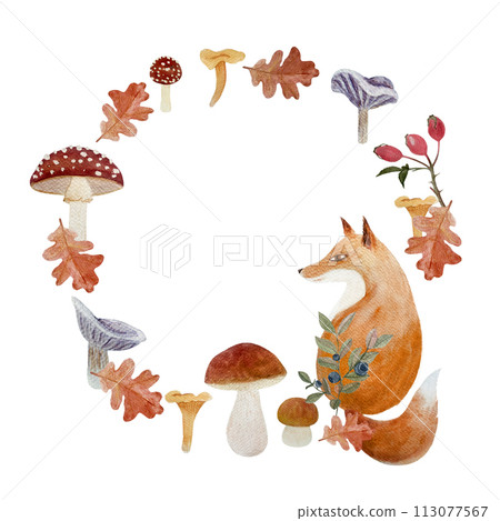 Fox in a forest plants frame watercolor flat illustration isolated on white 113077567