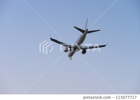 Airplane in the air and sunset in background 113077717