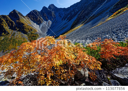 Autumn leaves of the Northern Alps, Karasawa Curl and Mt. Maehotaka, Kitaone Autumn leaves of the Northern Alps, Karasawa Curl and Mt. Maehotaka, Kitaone 113077856