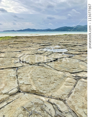 久米島 久米鎮王子島榻榻米石 113077867