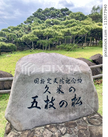 久米島 久米鎮後田之松 久米島 久米鎮後田之松 113077940
