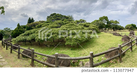 久米島 久米鎮後田之松 113077947