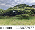 久米島 久米鎮後田之松 113077977