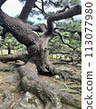 久米島 久米鎮後田之松 113077980