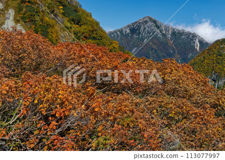 秋天從唐澤彎道上看到的常年山 113077997