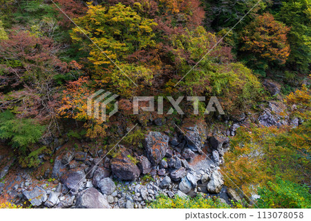 埼玉縣奧道部市的秋天 - 金三大年山溪流與秋葉 113078058