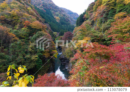 埼玉縣奧道部市的秋天 - 金三大年山溪流與秋葉 113078079