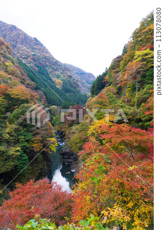 埼玉縣奧道部市的秋天 - 金三大年山溪流與秋葉 113078080