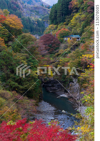 埼玉縣奧道部市的秋天 - 金三大年山溪流與秋葉 埼玉縣奧道部市的秋天 - 金三大年山溪流與秋葉 113078085