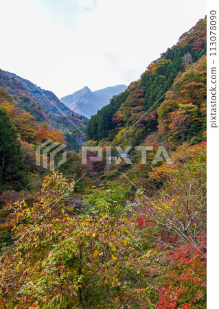 埼玉縣奧道部市的秋天 - 金三大年山溪流與秋葉 埼玉縣奧道部市的秋天 - 金三大年山溪流與秋葉 113078090