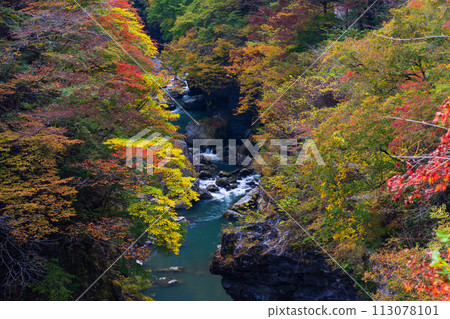 埼玉縣奧道部市的秋天 - 金三大年山溪流與秋葉 埼玉縣奧道部市的秋天 - 金三大年山溪流與秋葉 113078101