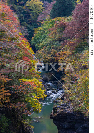 埼玉縣奧道部市的秋天 - 金三大年山溪流與秋葉 埼玉縣奧道部市的秋天 - 金三大年山溪流與秋葉 113078102