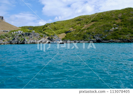[Ogasawara] South Island 113078405