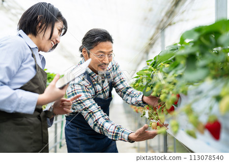 Smart agriculture Smart agriculture 113078540