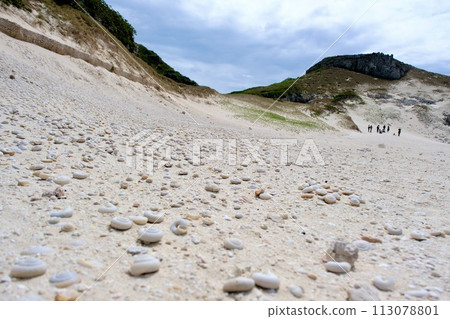 [Ogasawara] South Island (Hirobesokataimai) 113078801