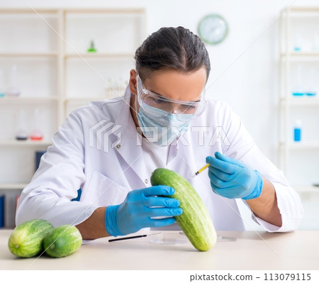 Male nutrition expert testing vegetables in lab 113079115