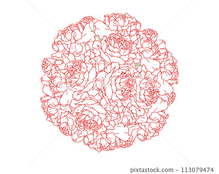 Carnation bouquet (red line drawing) 113079474