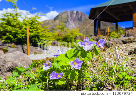 Aoi Shirane and Mt. Shirane 113079724